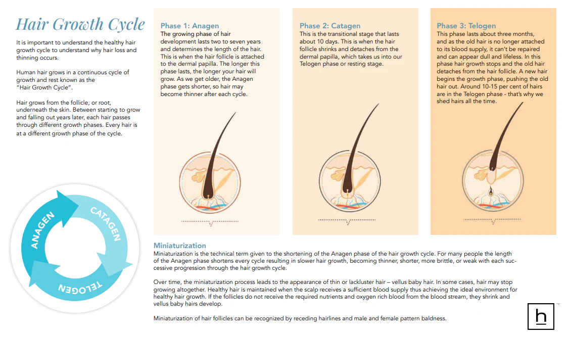 Free HairMax - Hair Growth & Wellness Guide (Digital Download) - Image 3